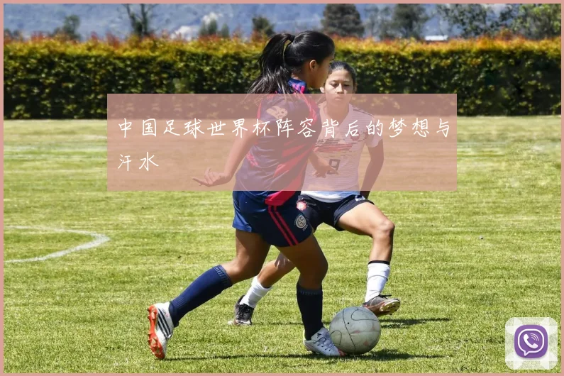 中国足球世界杯阵容背后的梦想与汗水