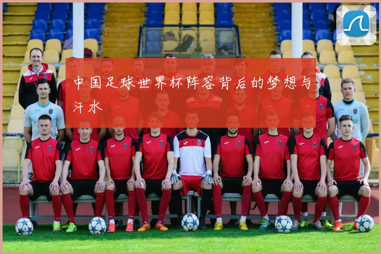 中国足球世界杯阵容背后的梦想与汗水