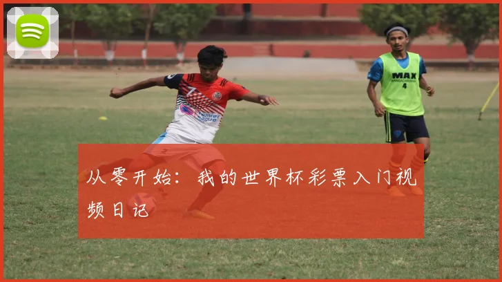 从零开始：我的世界杯彩票入门视频日记