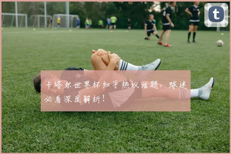 卡塔尔世界杯知乎热议话题，球迷必看深度解析！