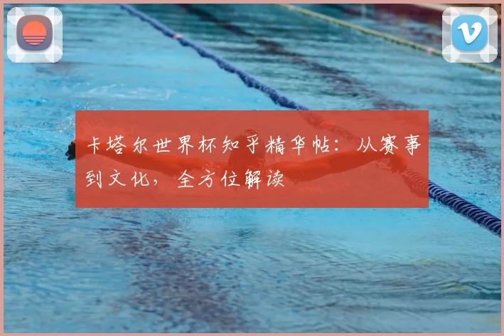 卡塔尔世界杯知乎精华帖:从赛事到文化,全方位解读