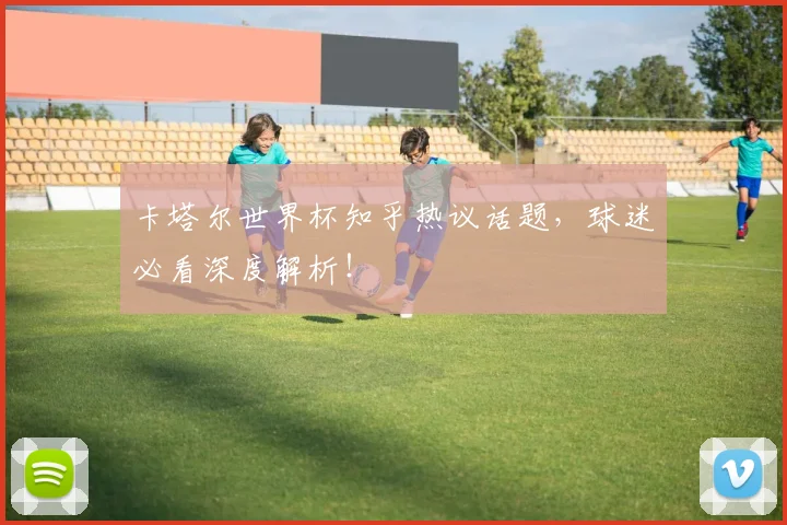 卡塔尔世界杯知乎热议话题，球迷必看深度解析！