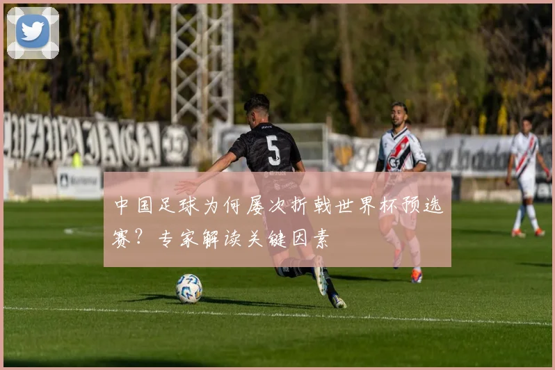 中国足球为何屡次折戟世界杯预选赛?专家解读关键因素