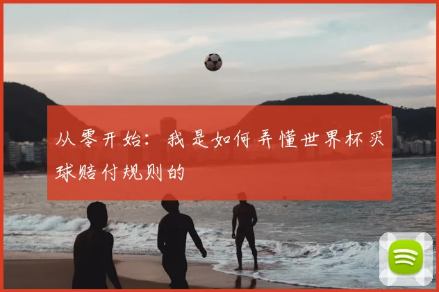 从零开始:我是如何弄懂世界杯买球赔付规则的