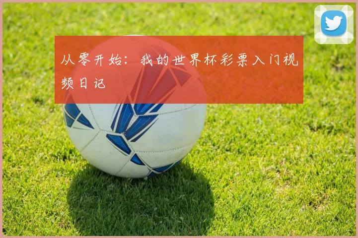 从零开始:我的世界杯彩票入门视频日记